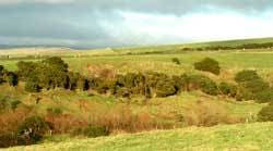 castle in Scotland to rent