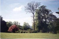 Holiday cottage cowal