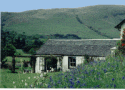 Argyll self-catering