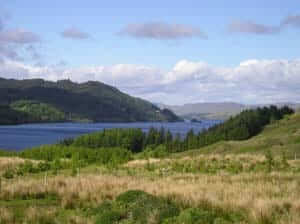 cottage sleeps 6