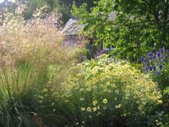 beautiful scottish garden