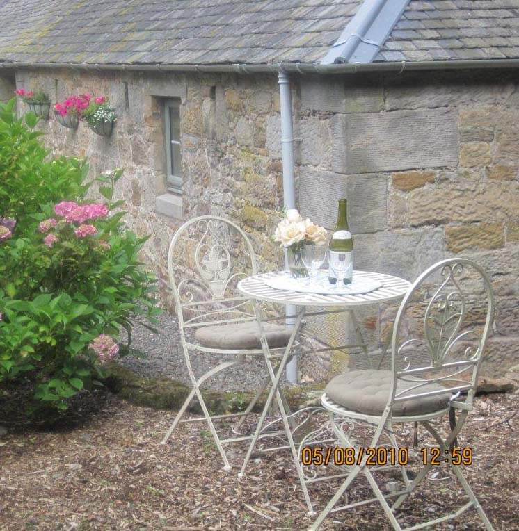 pet friendly garden