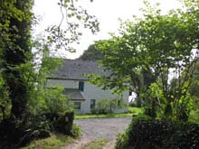 back of house