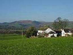 Galloway cottage to hire
