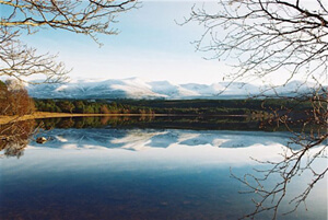 Holiday cottage in highlands