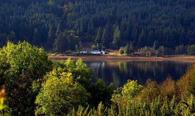 remote cottage with loch view