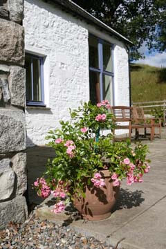 Lochaber cottage rose terrace