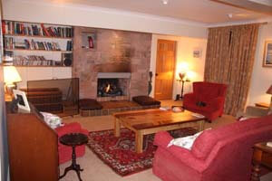 big log fire