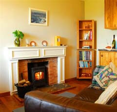 wood burning stove