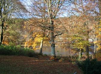 loch tay