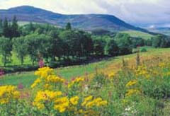 visit scotland