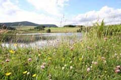 glenisla self-catering
