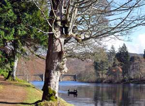 River Tay