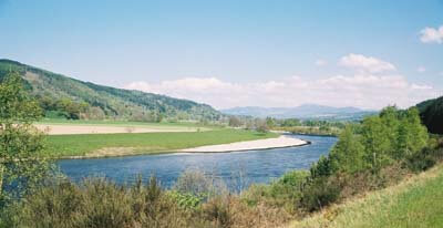 Scottish cottage to let