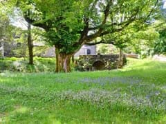 Rhoda's Cottage, Strachur House, Strachur, Argyll