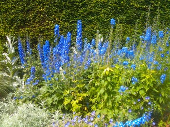 Garden near Oban Argyll