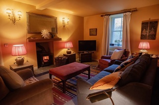 cosy wood burning stove