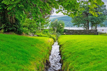 loch from garden