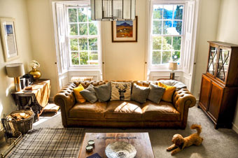 leather sofas sitting room