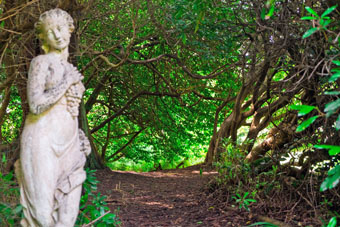 stone statue cherub