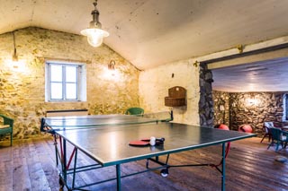 table tennis and indoor games