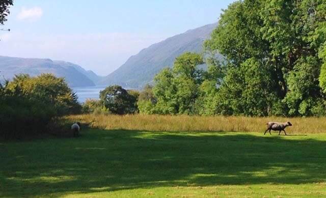 Garden at Loch Awe