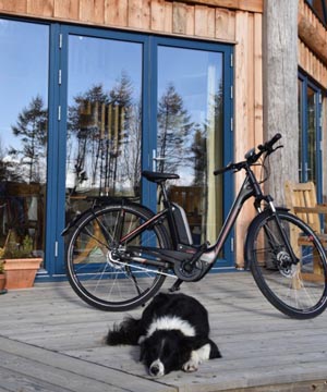 Electric bike rental