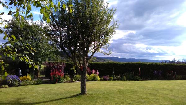 beautiful Aberdeenshire garden