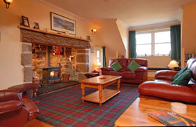 wood burning stove