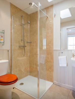 luxury shower room