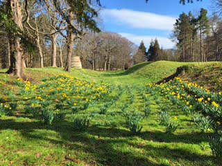 Castle gardens