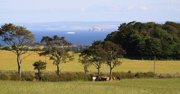 self-catering on a farm