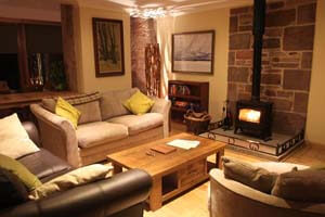 cosy wood burning stove