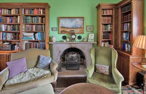 cosy log fire