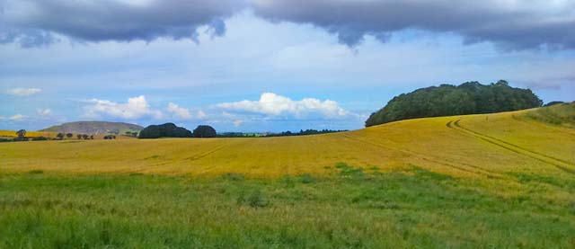 Farmland in fife