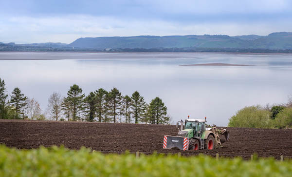 River Tay in fife