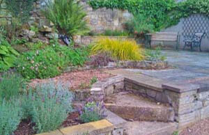suntrap garden