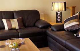 leather sofas