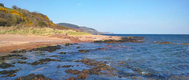 beach and coastline in Galloway