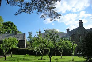 cottage garden