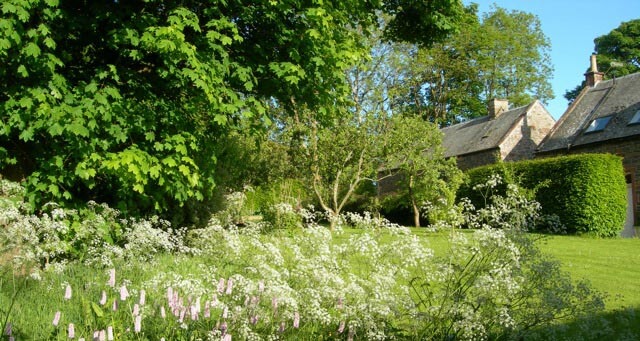 lawn garden