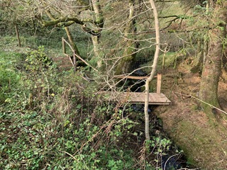 stream