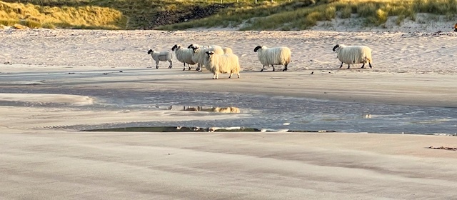 sandy beach near Croft