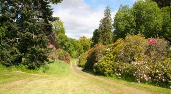 Dunglass walk