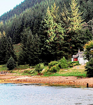 self-catering cottage in rural Scotland