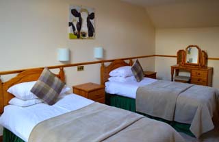spacious twin bedroom