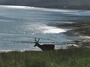 Loch Kishorn