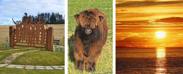 beach holiday house on the sea front in Scotland amazing night sky and a Highland cow.