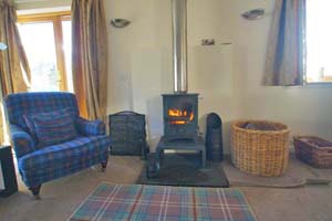 sitting room with fire