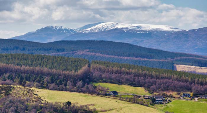 highland view from deck